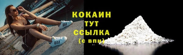 ГАЛЛЮЦИНОГЕННЫЕ ГРИБЫ Заводоуковск