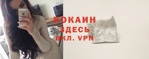 ГАЛЛЮЦИНОГЕННЫЕ ГРИБЫ Заводоуковск