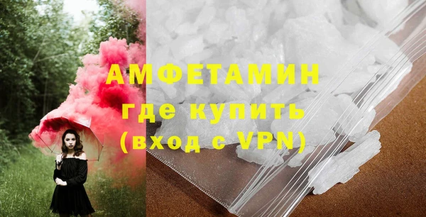 ГАЛЛЮЦИНОГЕННЫЕ ГРИБЫ Заводоуковск