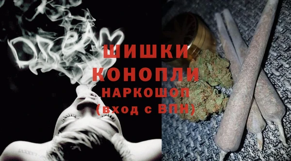 ГАЛЛЮЦИНОГЕННЫЕ ГРИБЫ Заводоуковск
