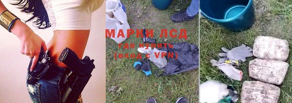 ГАЛЛЮЦИНОГЕННЫЕ ГРИБЫ Заводоуковск