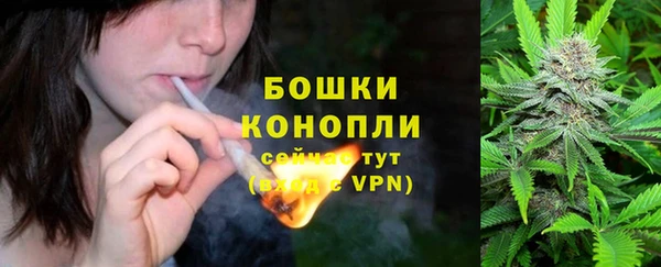 ГАЛЛЮЦИНОГЕННЫЕ ГРИБЫ Заволжск