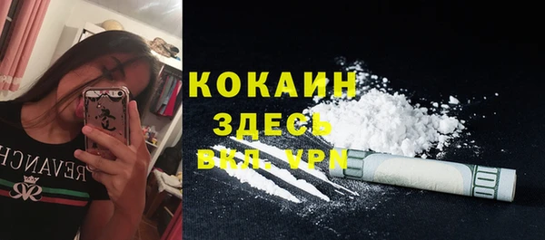 ГАЛЛЮЦИНОГЕННЫЕ ГРИБЫ Заводоуковск